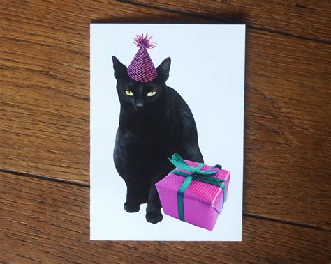 Happy Birthday From Black Cats Cat Meme Stock Pictures And Photos