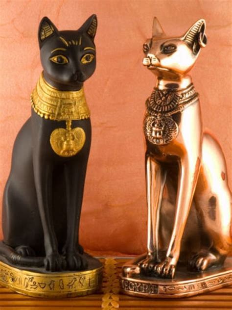Interesting Facts About Cats In Ancient Egypt Catsbu