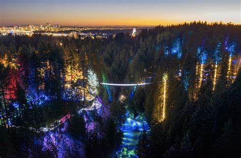 Capilano Suspension Bridges Canyon Lights Now Open Secret Vancouver