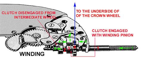 Pull the stem to locate the bolt spring if you can't find a dimple. What makes a movement wind smoothly or roughly?