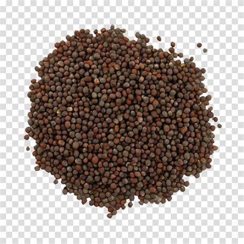 Organic Food Mustard Seed Black Mustard Mustard Plant Brassica Juncea