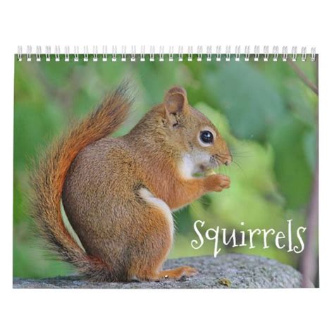 Squirrels Calendar Squirrel Grid Style Cute Animals