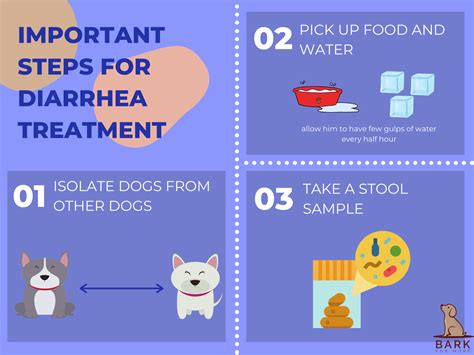 Definitive Guide To Understanding And Treating Dog Diarrhea Bark For More