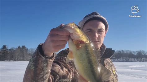 Ice Fishing Maine For Bass Caught Pickerel Youtube