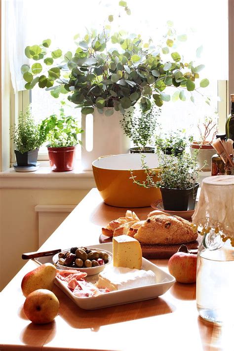 18 Creative Ideas To Grow Fresh Herbs Indoors