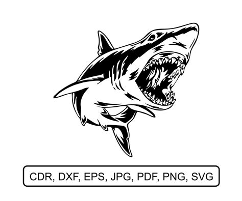 Shark Svg Shark Clipart Sharks Mascot Svg Dxf Png Eps The Best Porn