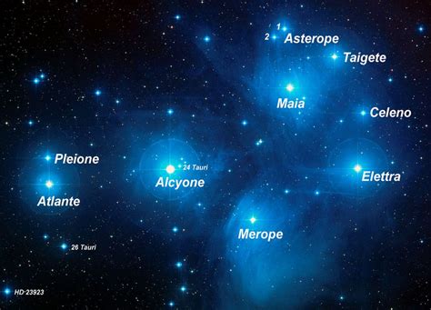 Pleiades Identikit Of The Brightest Star Cluster