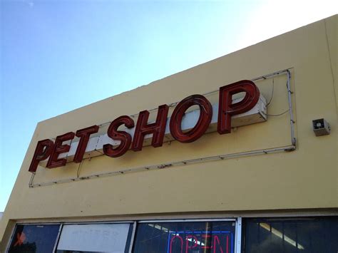 Pet Shop Neon Sign Phillip Pessar Flickr