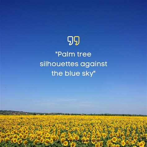 75 Most Beautiful Blue Sky Quotes To Brighten Your Day