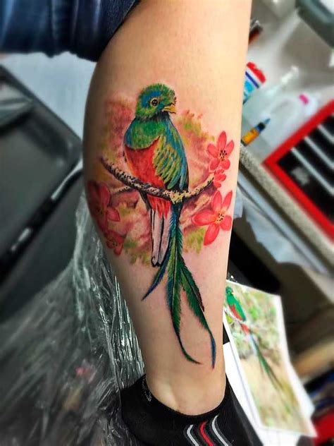 arriba más de 67 quetzal tatuaje mejor vn