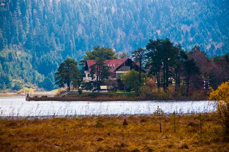 Free Images Landscape Nature Forest Wilderness Meadow House
