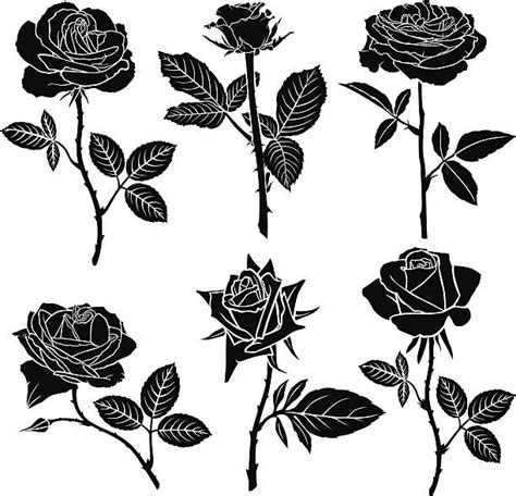 Rose Stem Illustrations Royalty Free Vector Graphics And Clip Art Istock