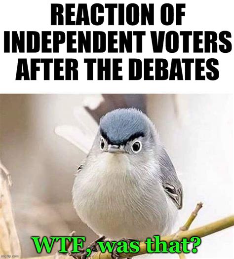 Like Most Elections People Hear What They Want And Independents Are