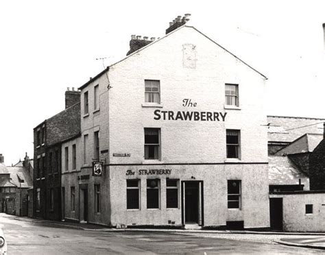 The Strawberry Circa 1966 45 Years Later I Can Confirm Its A Quality