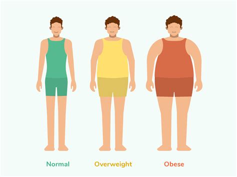 Body types illustration for Sweetch Health by Mark Levi on ...