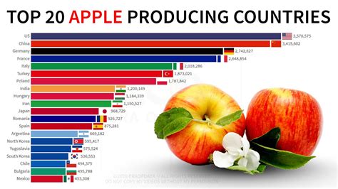 Worlds Top 20 Apple Producing Countries 1960 2020 Era Of Data Youtube