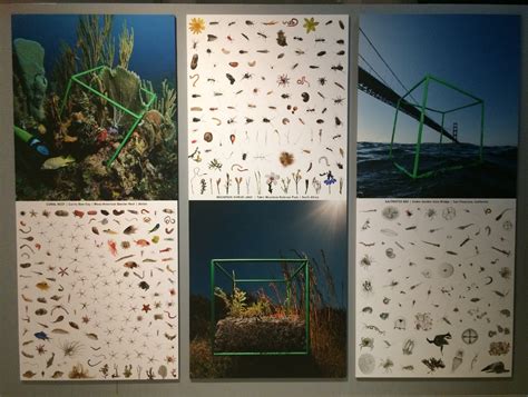 Life in One Cubic Foot