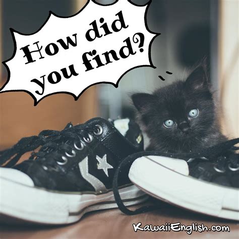 Check spelling or type a new query. How did you find? | Kawaii English