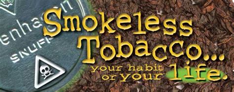 Smokeless Tobacco Pamphlet Prevention And Treatment Resources