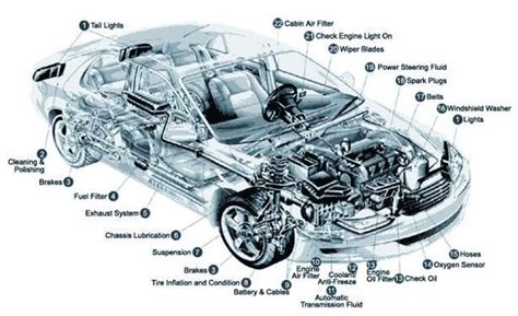 Vehicle Body Parts Diagram
