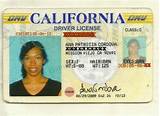 Alpha International Drivers License