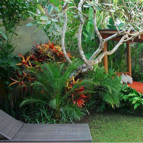 Astounding 35 Beautiful Tropical Front Yard Landscape Ideas To Make
