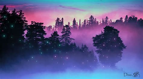 The Sky Is Filled With Colorful Lights And Fog As Trees Stand In The