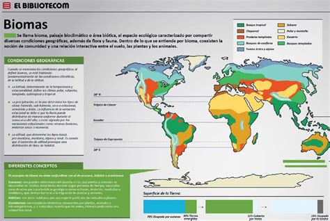 Representaci N Mujer Hermosa Suri Mapa Planisferio Biomas Del Mundo