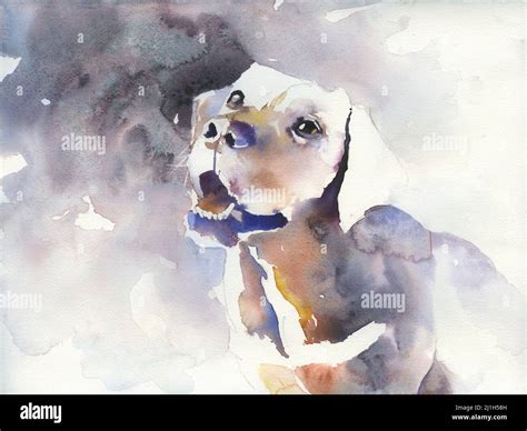 Colorful Dog Artwork Watercolor Painting Of Dog Colorful Wall Art Dog