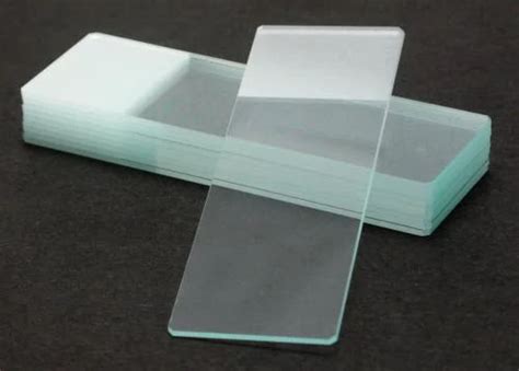 Frosted Microscope Glass Slide Micropedia