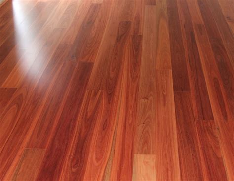 Blue Gum Timber Flooring Sanding And Polishing Staining