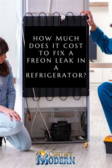 How Much Does It Cost To Fix A Freon Leak In A Refrigerator In 2021