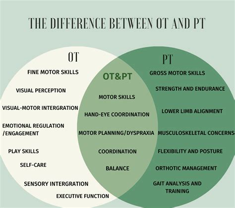 Whats The Difference Between Physical Therapy And Occupational Therapy