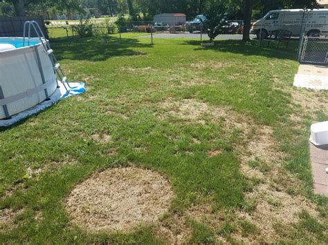 How To Fix Brown Patches In Lawn Lawnsite™ Is The Largest And Most