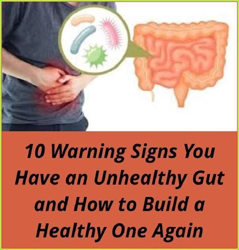 Warning Signs You Have An Unhealthy Gut And How To Build A Healthy