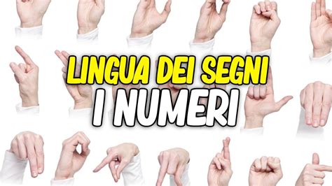 Vi Insegno I Numeri Con La Lingua Dei Segni Italiana Ep Youtube