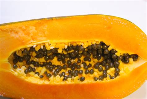 Effectiveness Of Papaya Seeds On Human Intestinal Parasites The