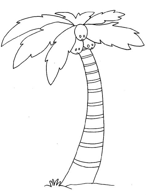 Print this crafttake those old bits of green crayons and recycle them into a delightful palm leaf crayon sun catcher in celebration of. Palm Tree Coloring Pages | palm-tree-coloring-pages-7-com ...
