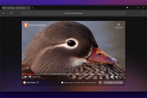 Duckduckgo S Privacy Focused Browser Is Available For Windows Now The Verge