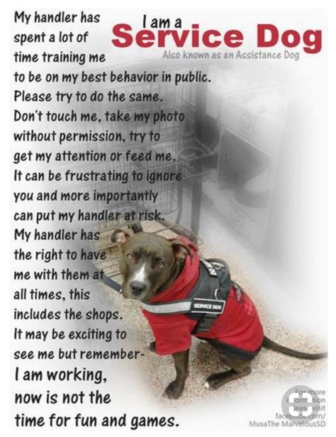 Get an instant quote now and take the first step to protect your furry best friend. Pin by Eunice Payan on Pitbull love "Gracie" | Psychiatric service dog, Service dog training, Dogs