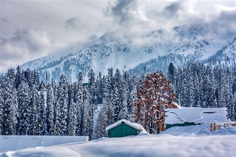 Happy Snow Fall Kashmir Murree Pakistan Snow Fall Snowfall In Azad