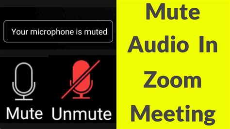 How To Muteunmute Audio In Zoom Meeting Youtube