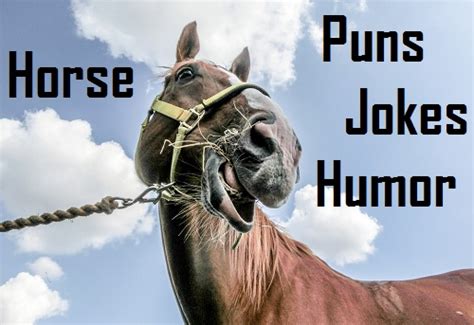 Top 35 Horse Humorpunsjokes Thatll Make You Neigh