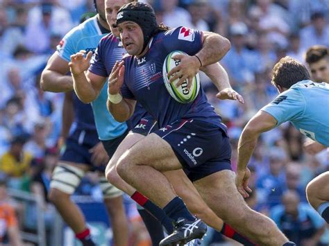Wal·la·bies or wallaby any of various marsupials of the family. No beers sees Rangi in Wallabies mix | Western Advocate ...