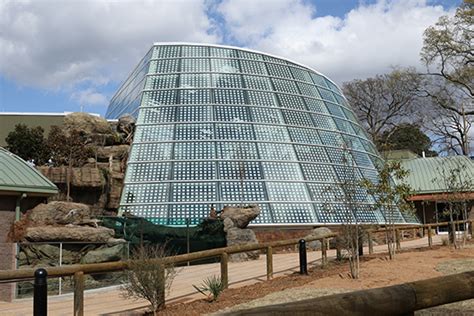 Scaly Slimy Spectacular Now Open At Zoo Atlanta Atlanta Moms