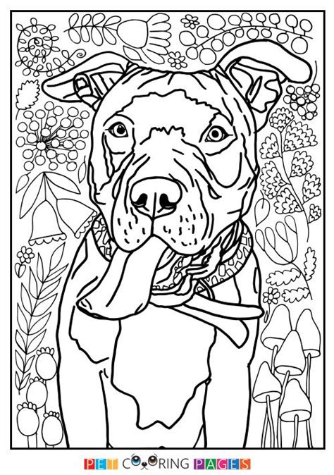 Cane corso coloring page dog coloring page dog drawing horse. Pin on Coloring Adult / Mandala