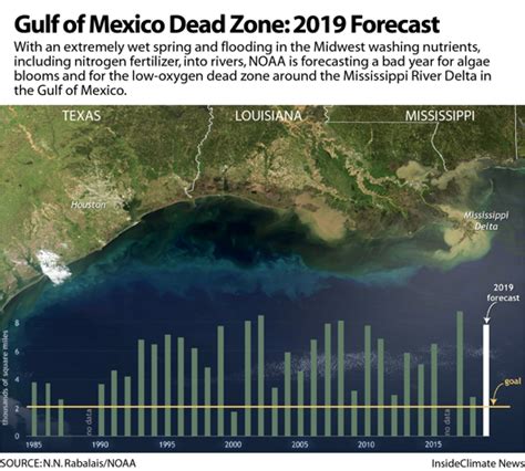 Chart Gulf Of Mexico Dead Zone 2019 Forecast Inside Climate News