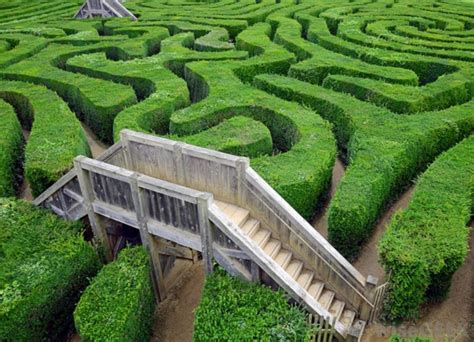 Inspiring 30 Unique Garden Labyrinth Design That You Never Seen Before