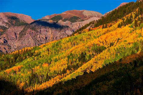 Fall Color Camp Bird Road Near Ouray In The San Juan Mountains Of