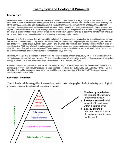 12 Best Images Of Energy Pyramid Worksheet Middle School